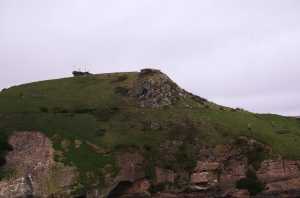 HARINGTON-POINT-DUNEDIN (48)